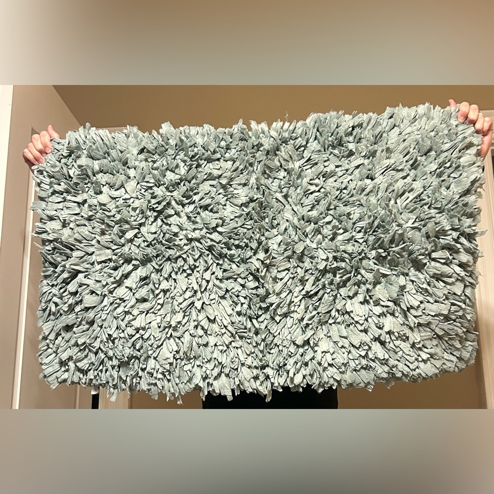 Shaggy light turquoise/ grayish indoor small rug